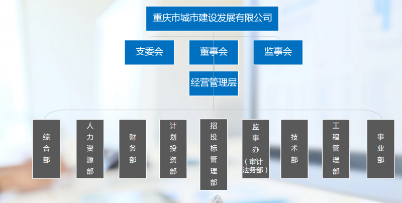 城發(fā)公司組織機構(gòu)信息.png